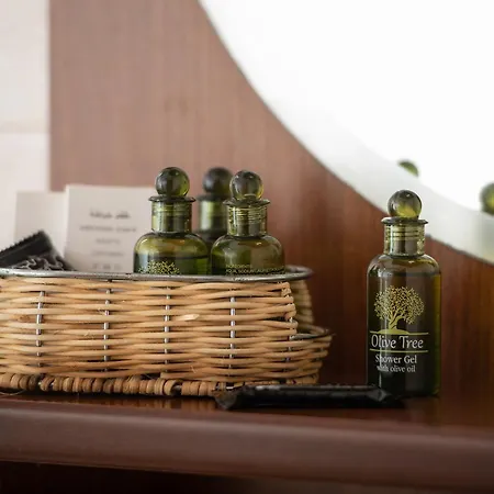 Pensiune Chorostasi 3*