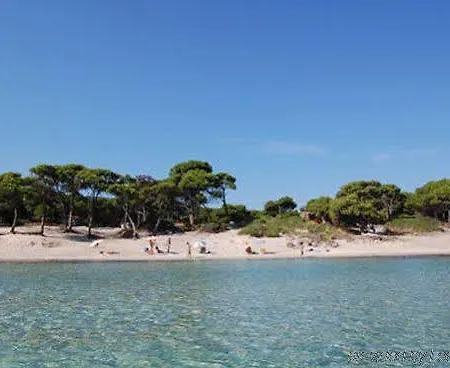 Chorostasi 3* Parthenón